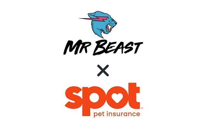 spot pet insurance provider and youtuber